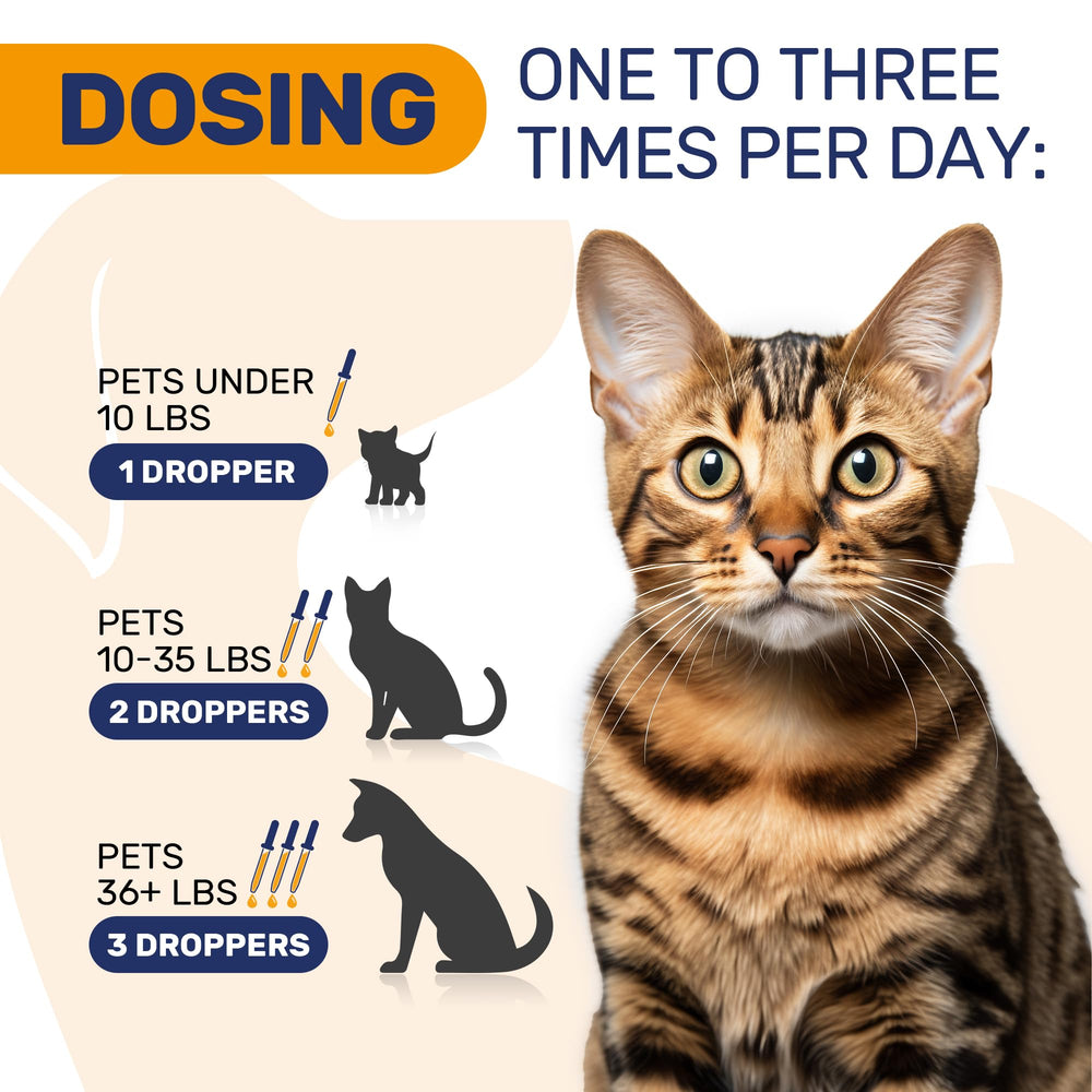 Clear Max sabor ternera natural: sabor agradable para mascotas durante la dosis.