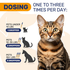 Clear Max sabor ternera natural: sabor agradable para mascotas durante la dosis.