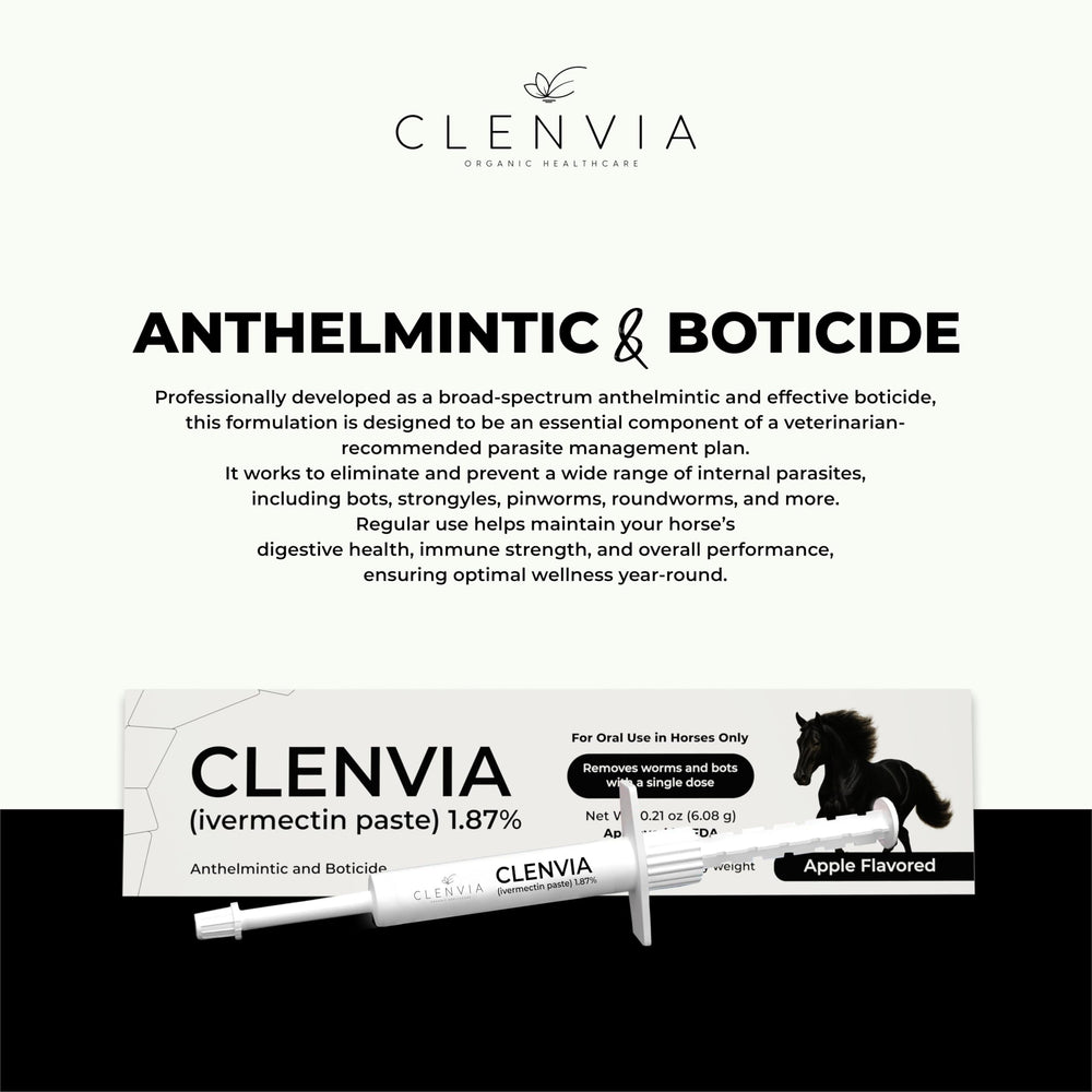 CLENVIA Pasta equina, escena de uso en establo.