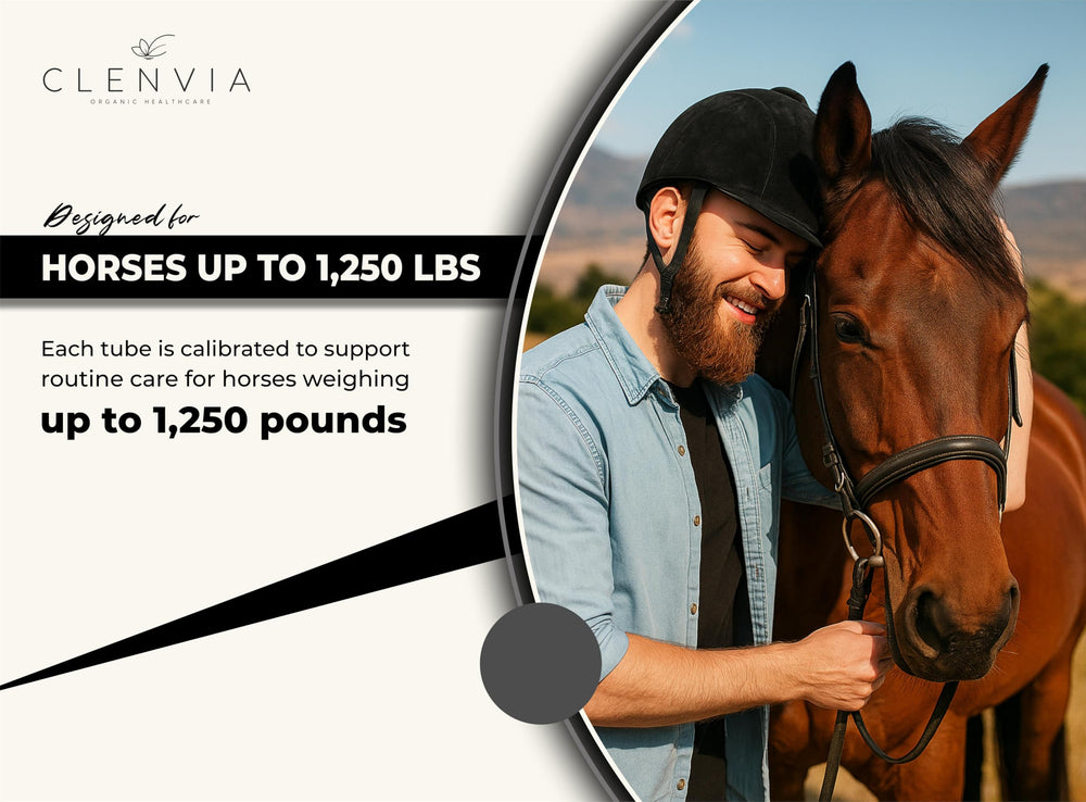 CLENVIA Pasta equina, formato 3 piezas, kit listo para usar.