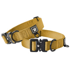 Clepaws collar mediano con bucle metal Cobra para un ajuste seguro durante paseos.