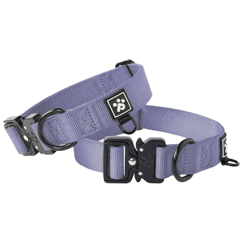 Clepaws collar para perro pequeno con cierre rapido metalico, seguridad diaria.