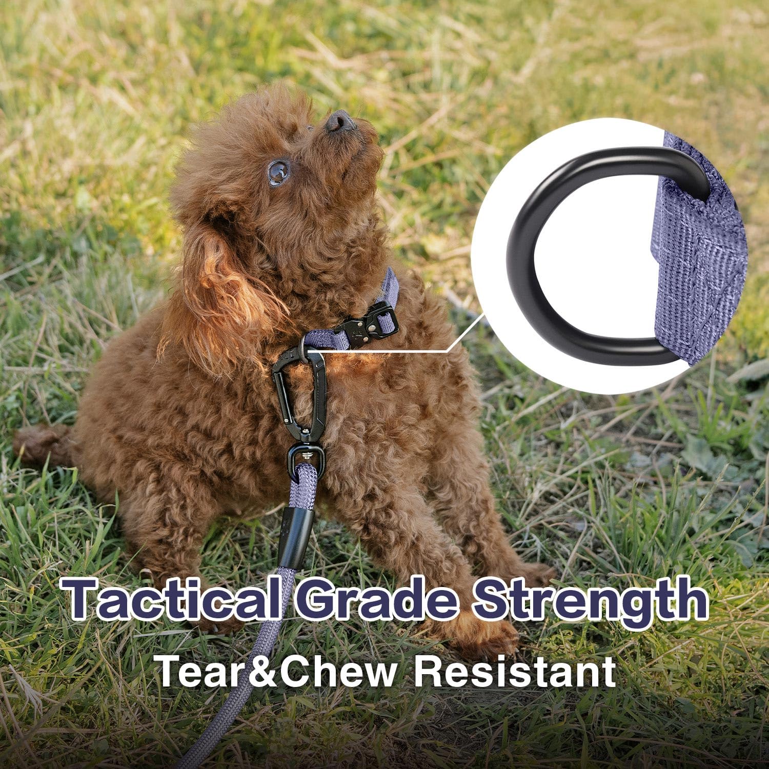 Clepaws collar pequeno con ajuste preciso para comodidad en caminatas.