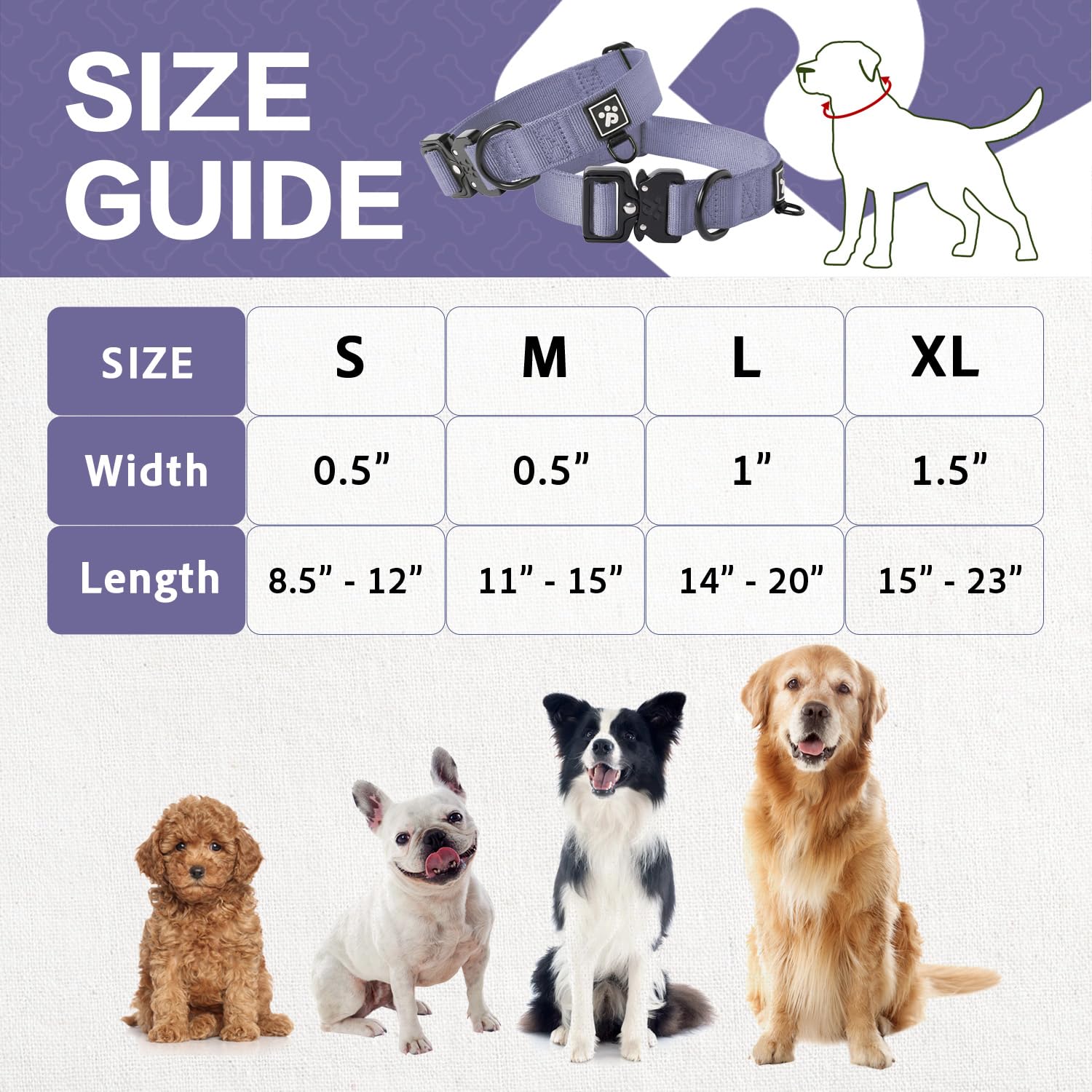 Clepaws collar con anilla extra para identificacion o rastreador.