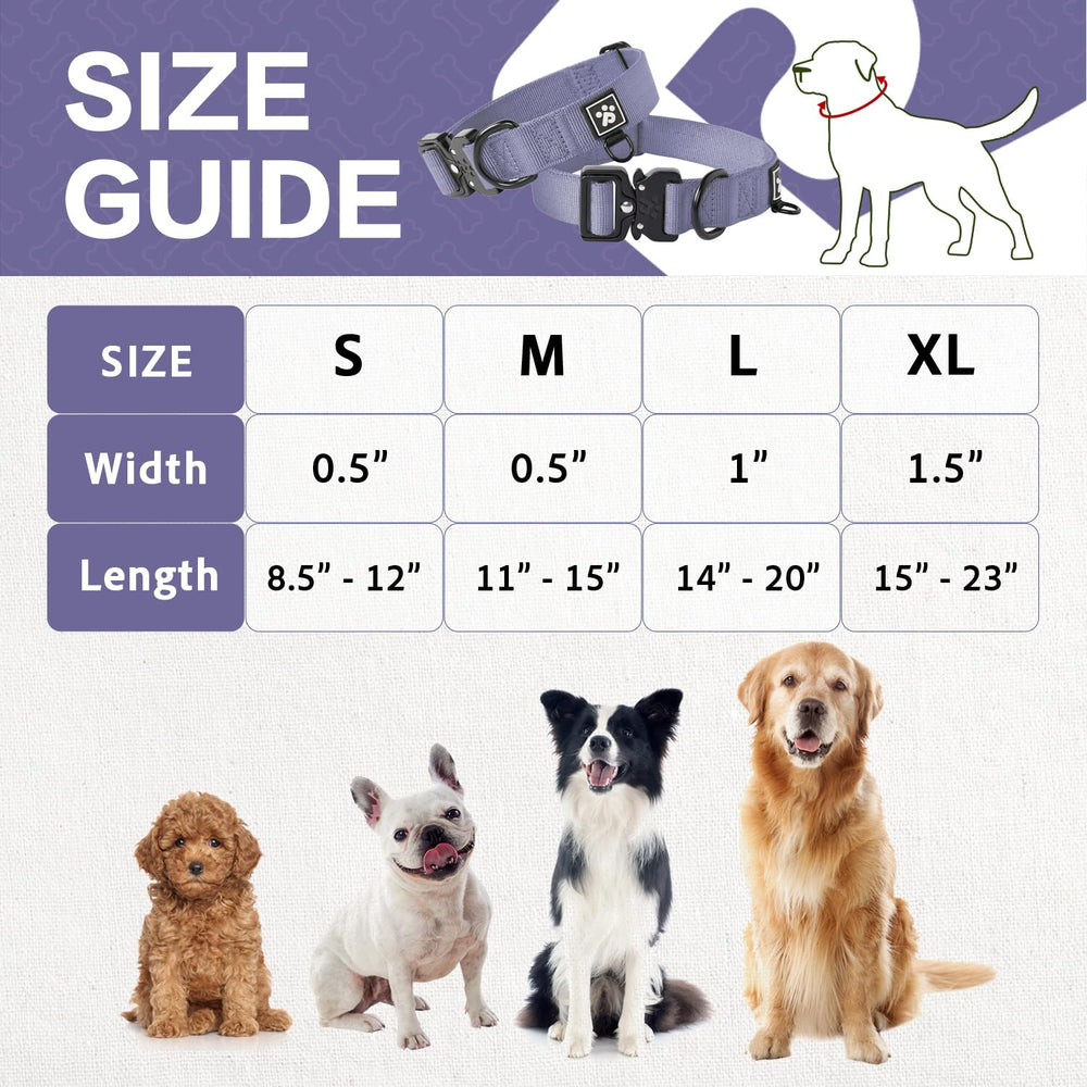 Clepaws collar con anilla extra para identificacion o rastreador.