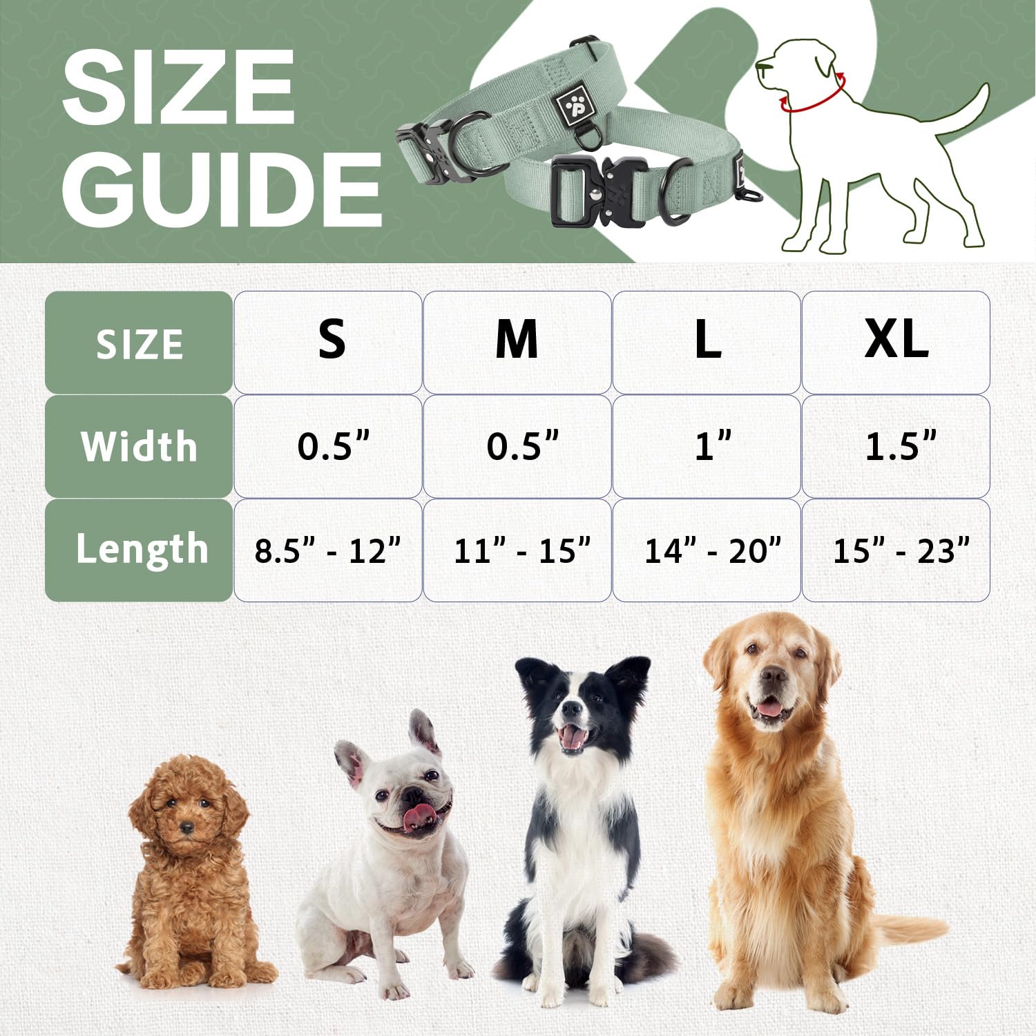 Clepaws collar ideal para entrenamiento, paseos y actividades.