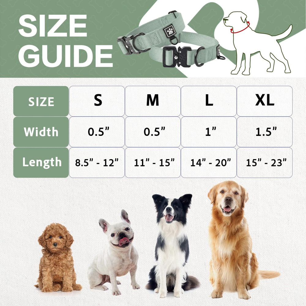 Clepaws collar ideal para entrenamiento, paseos y actividades.