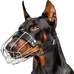 CleverTail mordaza metálica para doberman con ajuste perfecto.
