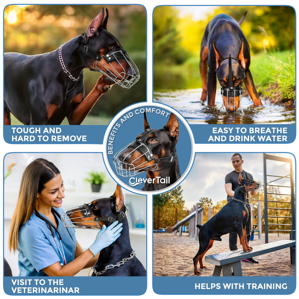 CleverTail compatible con razas grandes como doberman y collie.