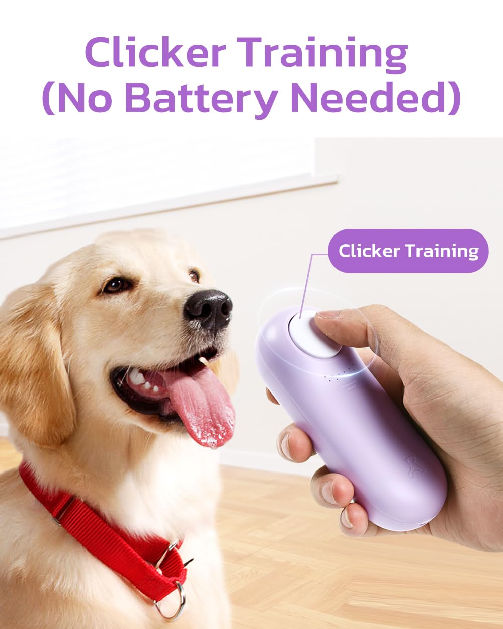 Clink Design clicker-entrenamiento perro duradero para refuerzo consistente.