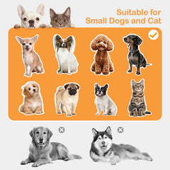 Clioran rampa antideslizante con marco metálico estable para mascotas pequeñas.