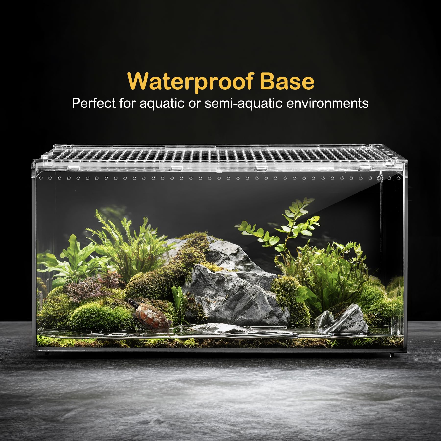 Clioran habitat múltiples especies: versátil para tarántulas, cangrejos y pequeños insectos.