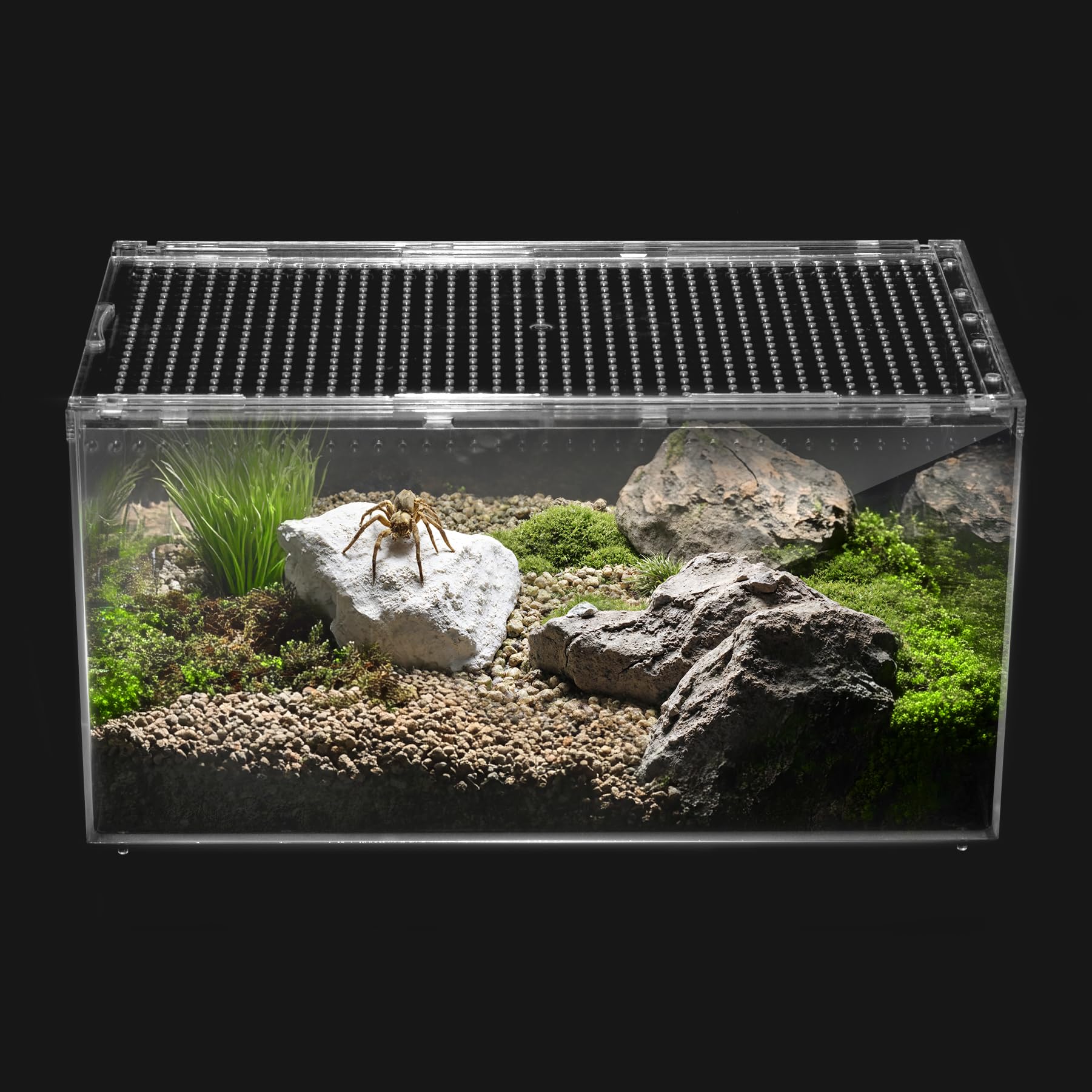 Clioran Terrario Reptil 360 Grados: visión amplia para observar al animal.