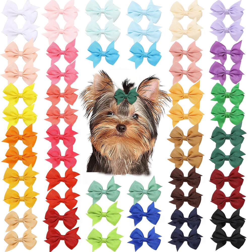 Clipband lazo para cachorro rojo de 2,2 pulgadas, ideal para paseos.