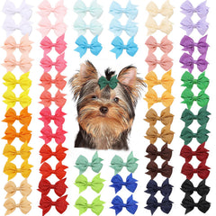 Clipband lazo para cachorro rojo de 2,2 pulgadas, ideal para paseos.