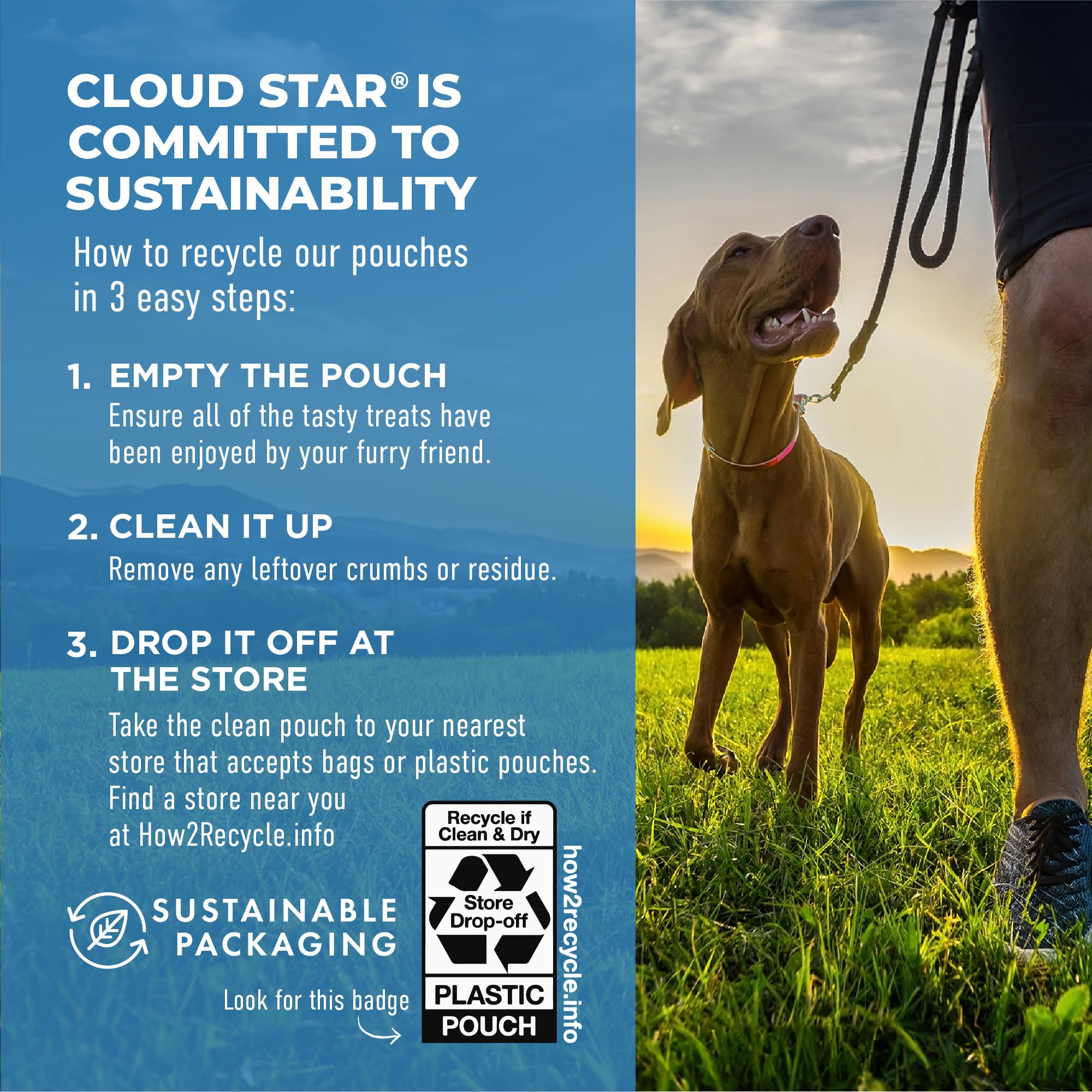Cloud Star Dynamo Dog: empaque práctico para porciones fáciles