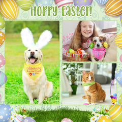 Diseño Pascua variado de bandanas para mascotas, colores festivos para fotos.