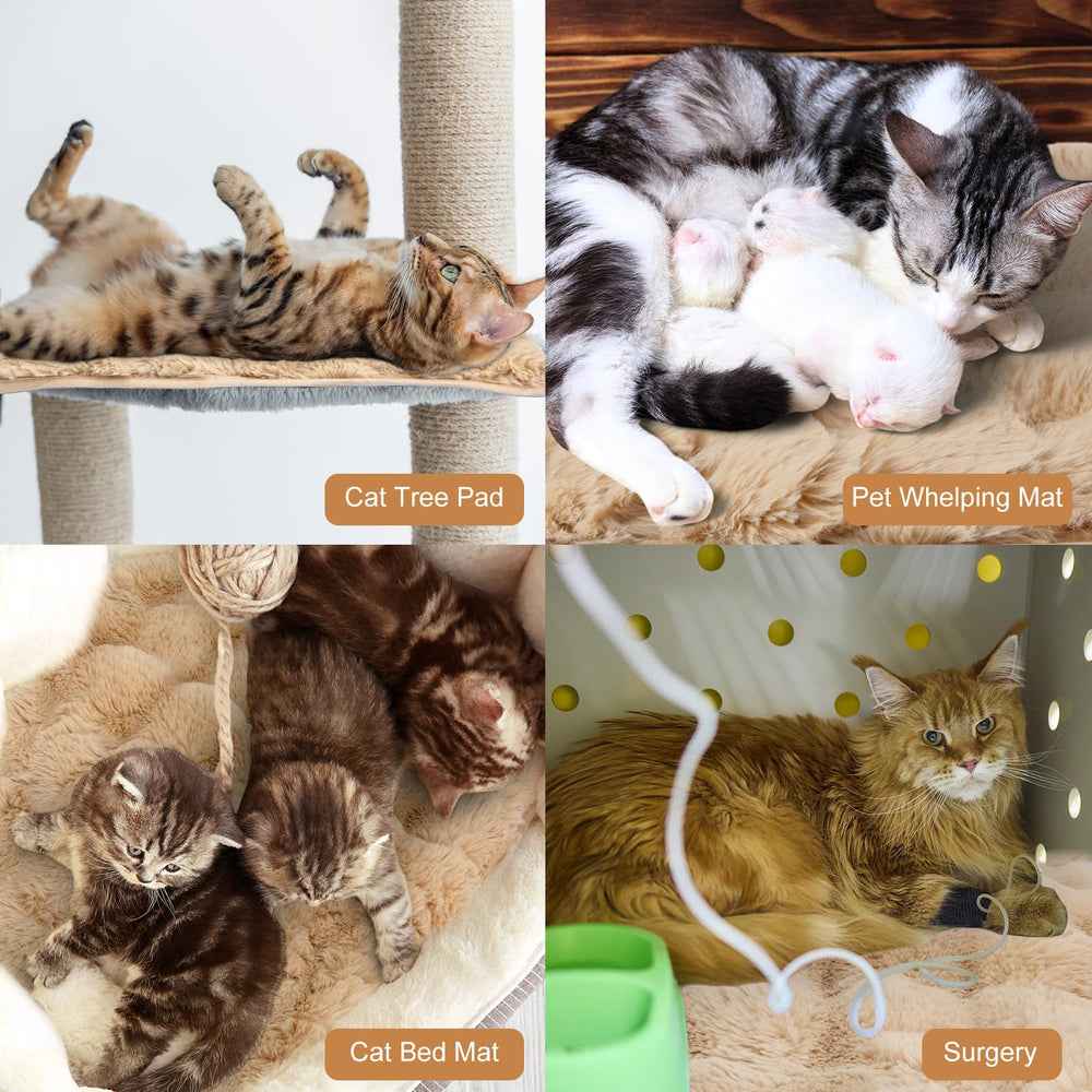 Clysee cama para gatos auto calentante, acolchado suave y resistente