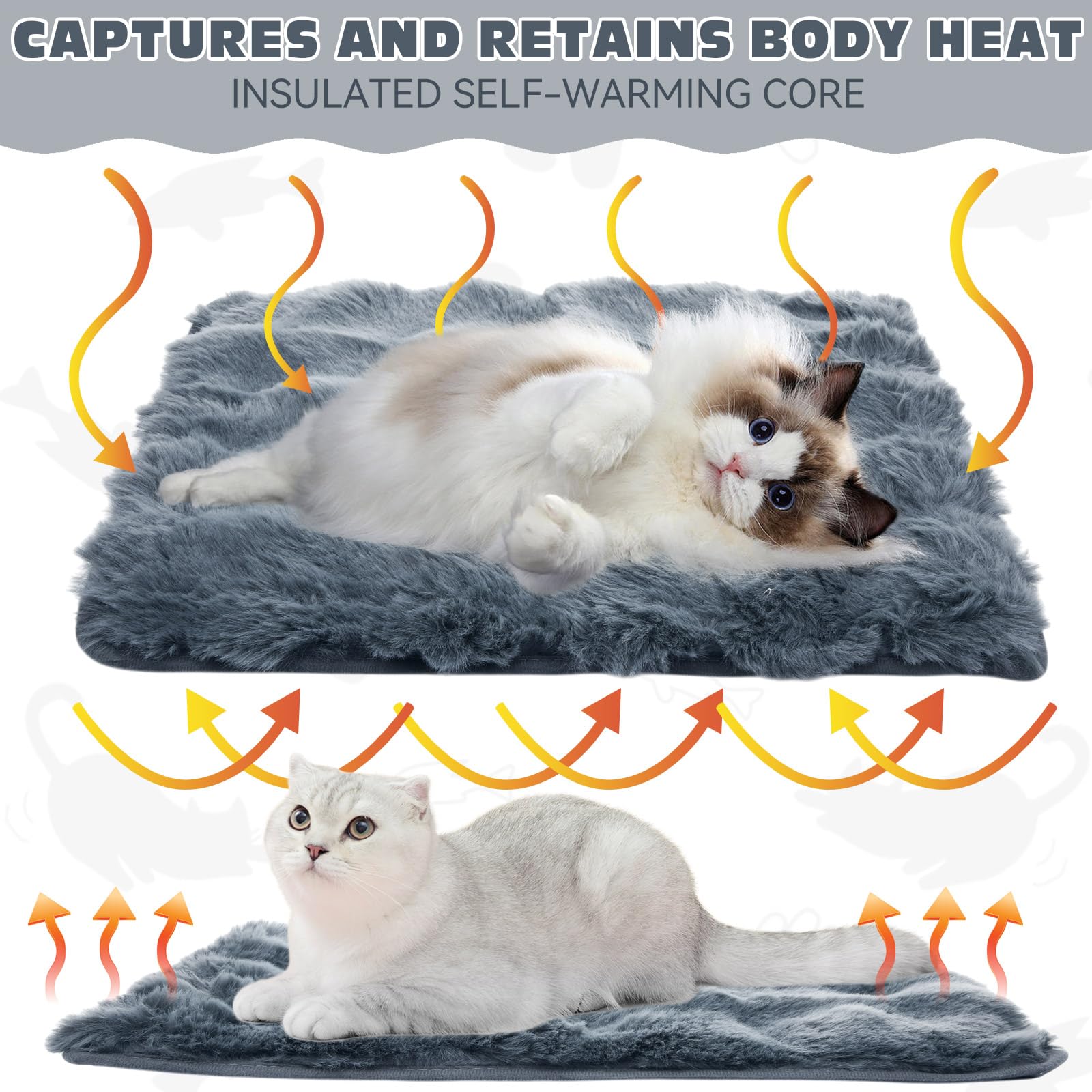 Clysee Cama Gato Base Antideslizante para descanso seguro