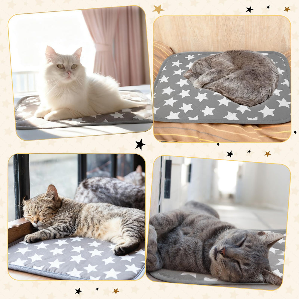 Clysee cama de 40 x 50 cm ideal para gatitos