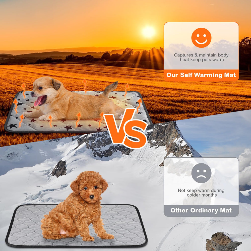 Clysee cama para perros sin ruidos, acolchado de micro felpa para descanso.