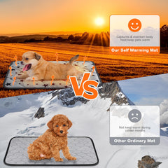 Clysee cama para perros sin ruidos, acolchado de micro felpa para descanso.