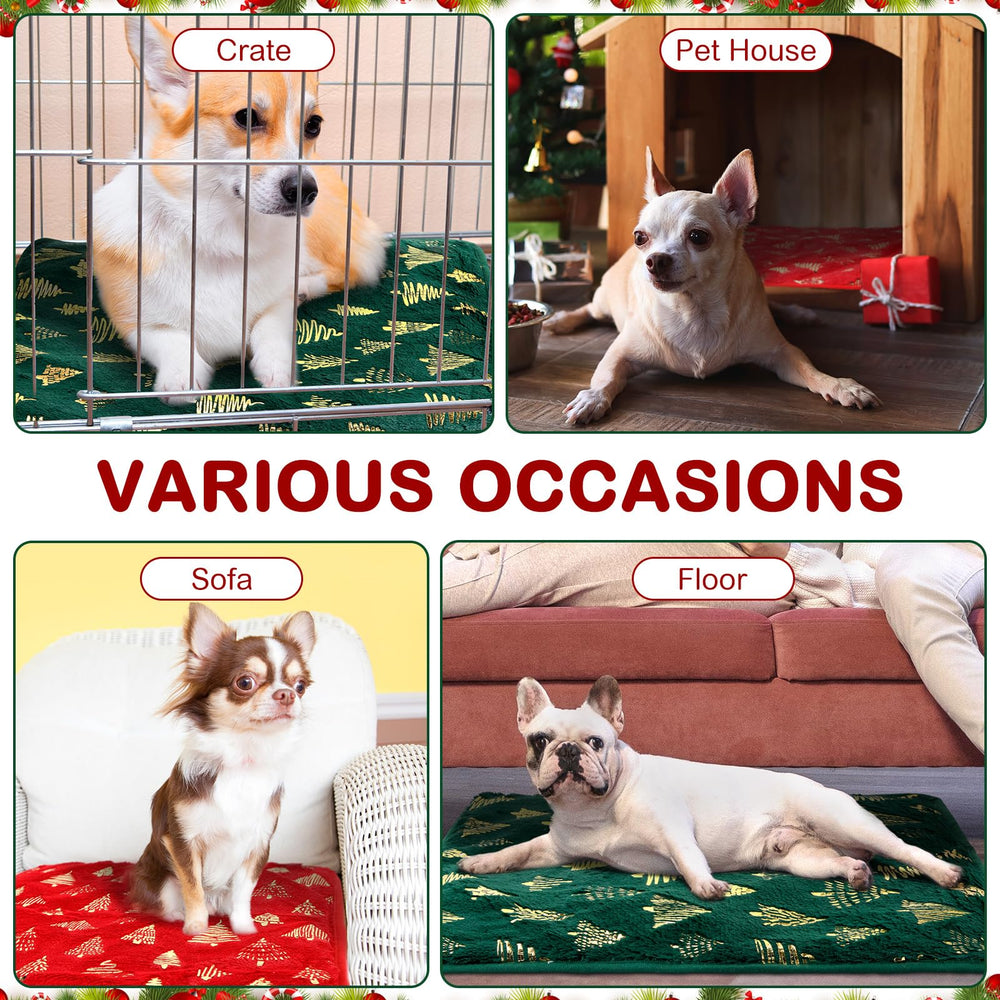 Clysee regalo mascotas navidad, práctico para dueños de felinos.