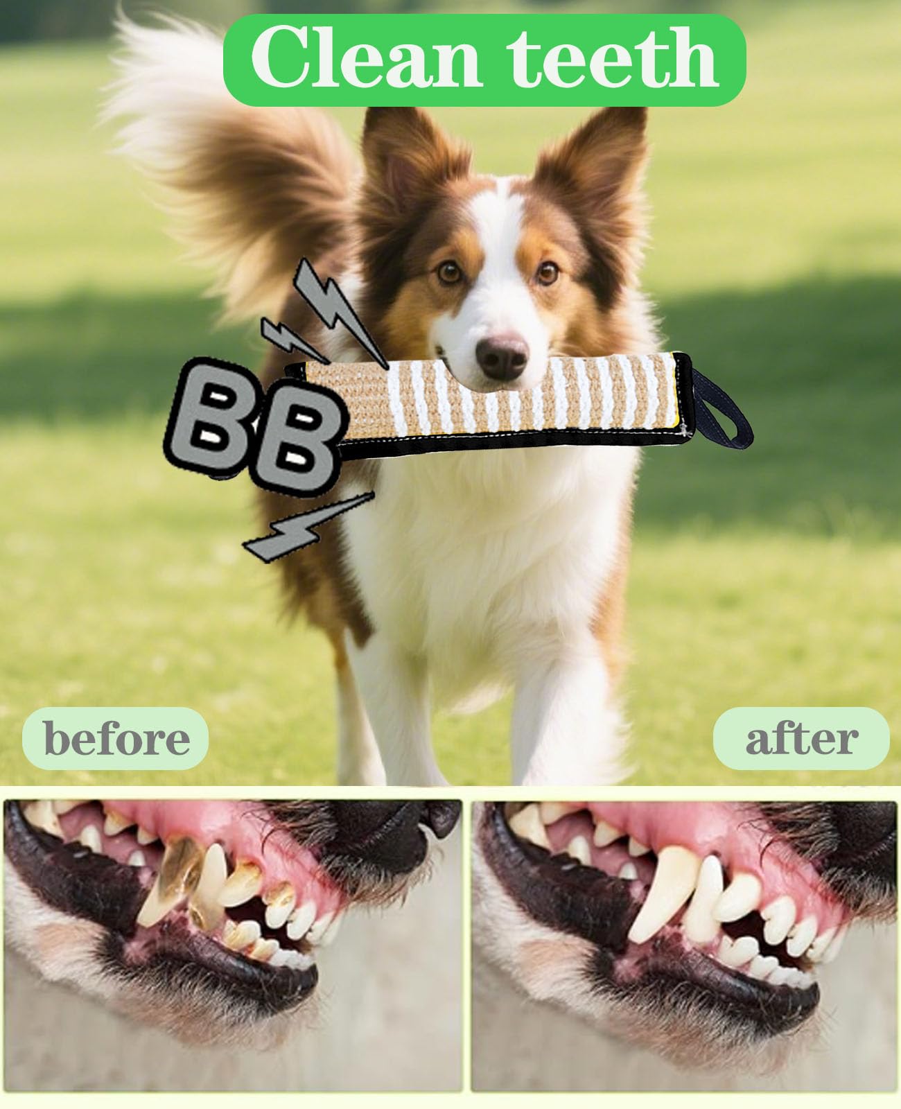 Clysoru Juta tira hecha 100% natural, material seguro para perros.