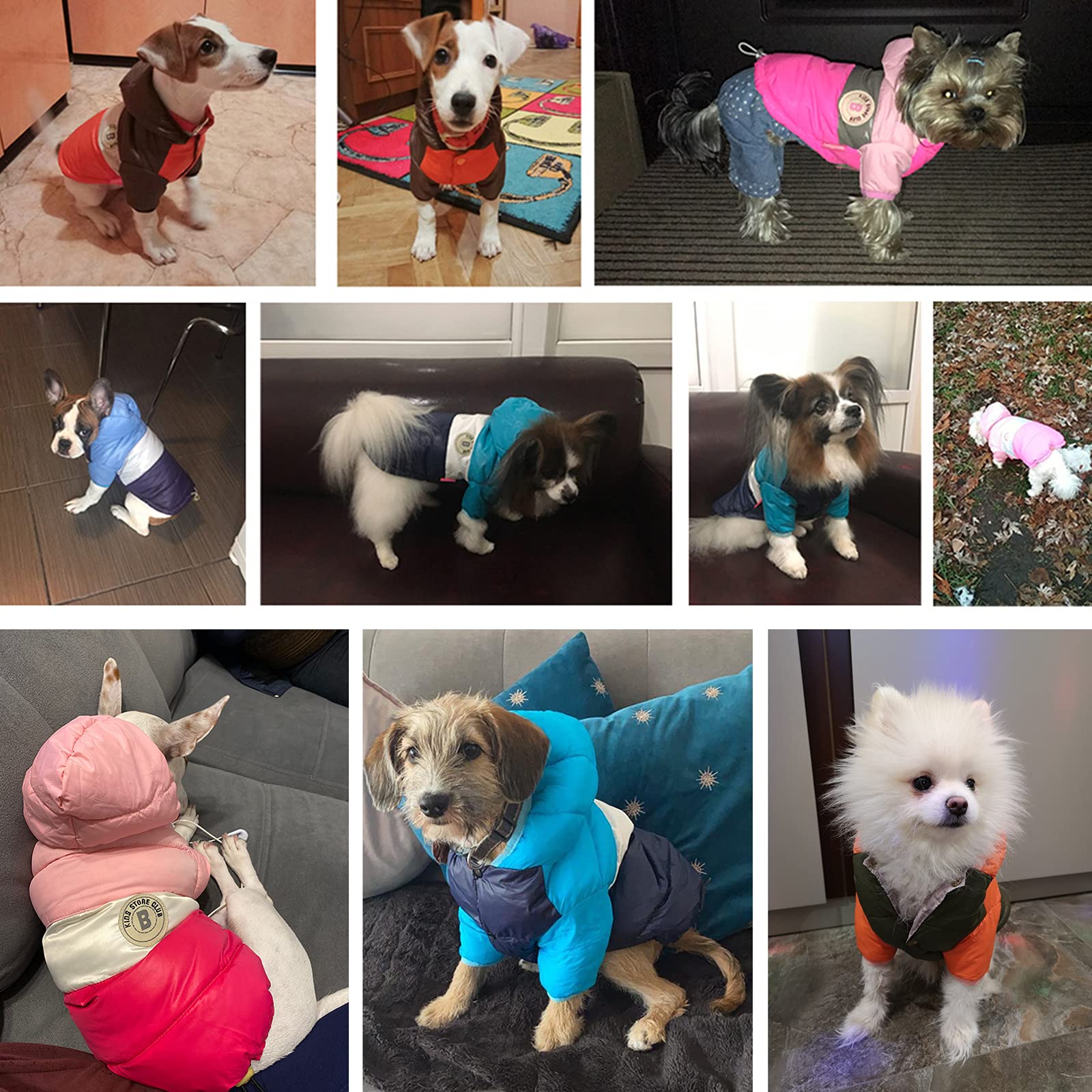 CMREAEC chaqueta cálida para perros pequeños, tejido transpirable para uso diario.