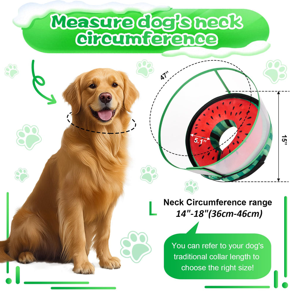 Cneo collar en dona con diseños estéticos que complementan la apariencia.