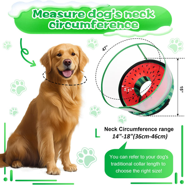 Cneo collar en dona con diseños estéticos que complementan la apariencia.
