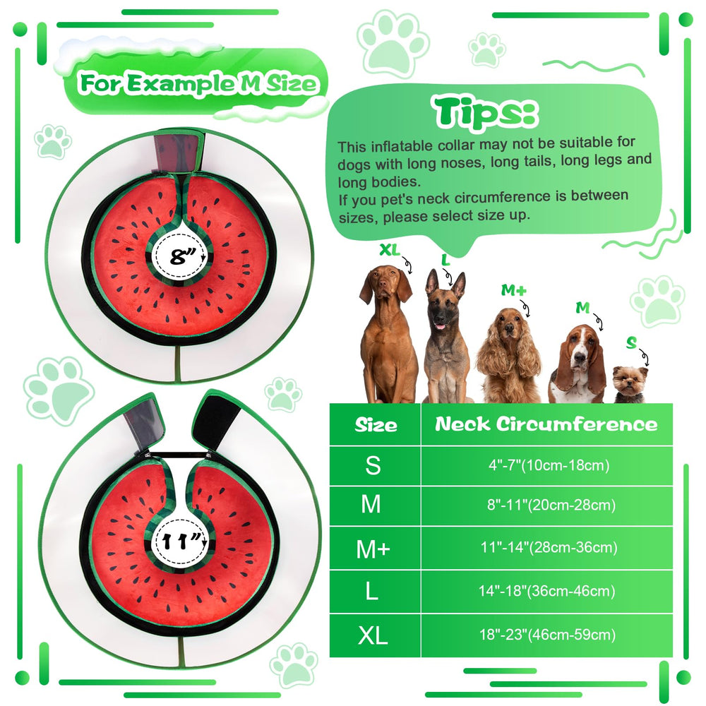 Cneo collar en dona para uso diario durante la recuperación del perro.