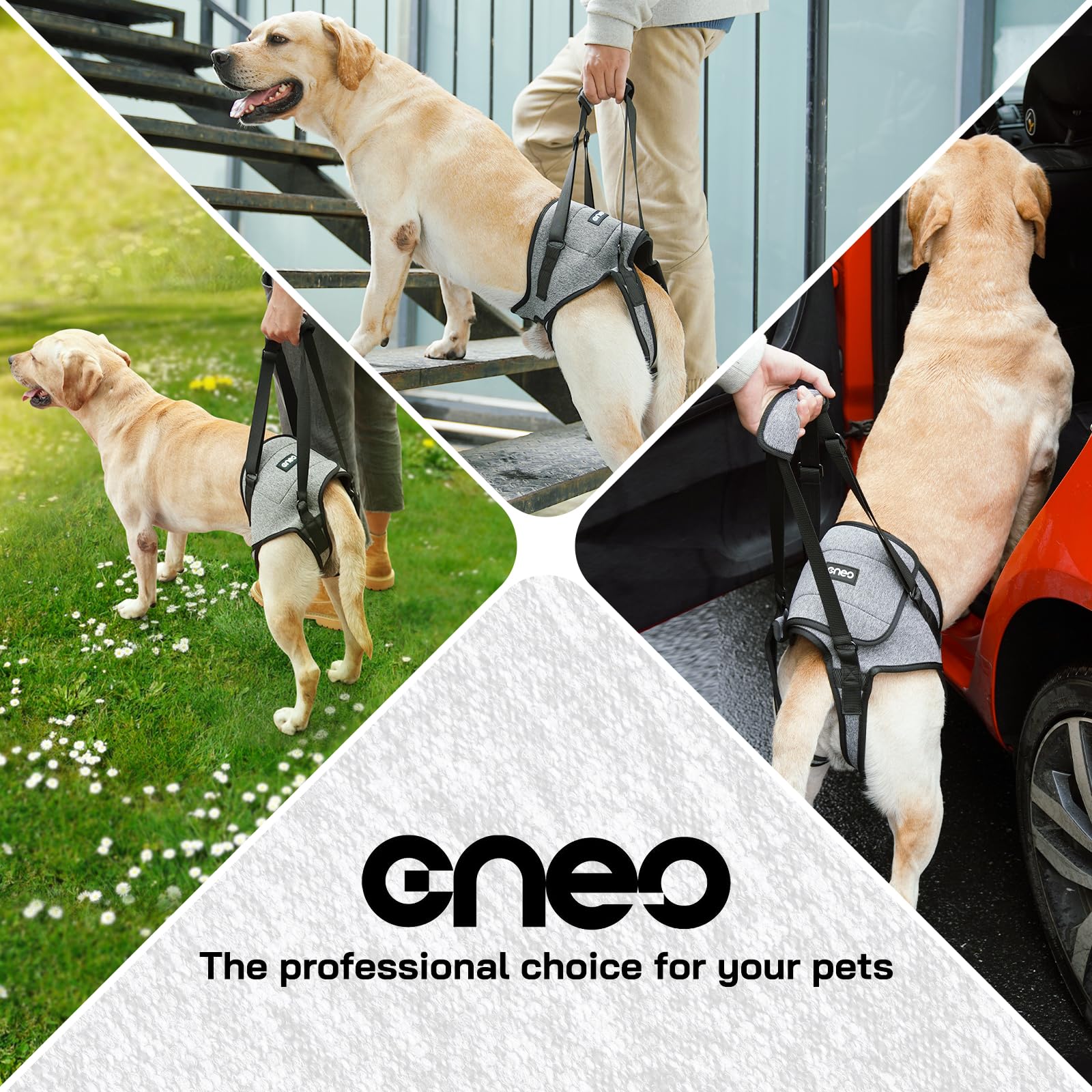 Arnés Cneo ideal para subir al coche, escaleras y sofá