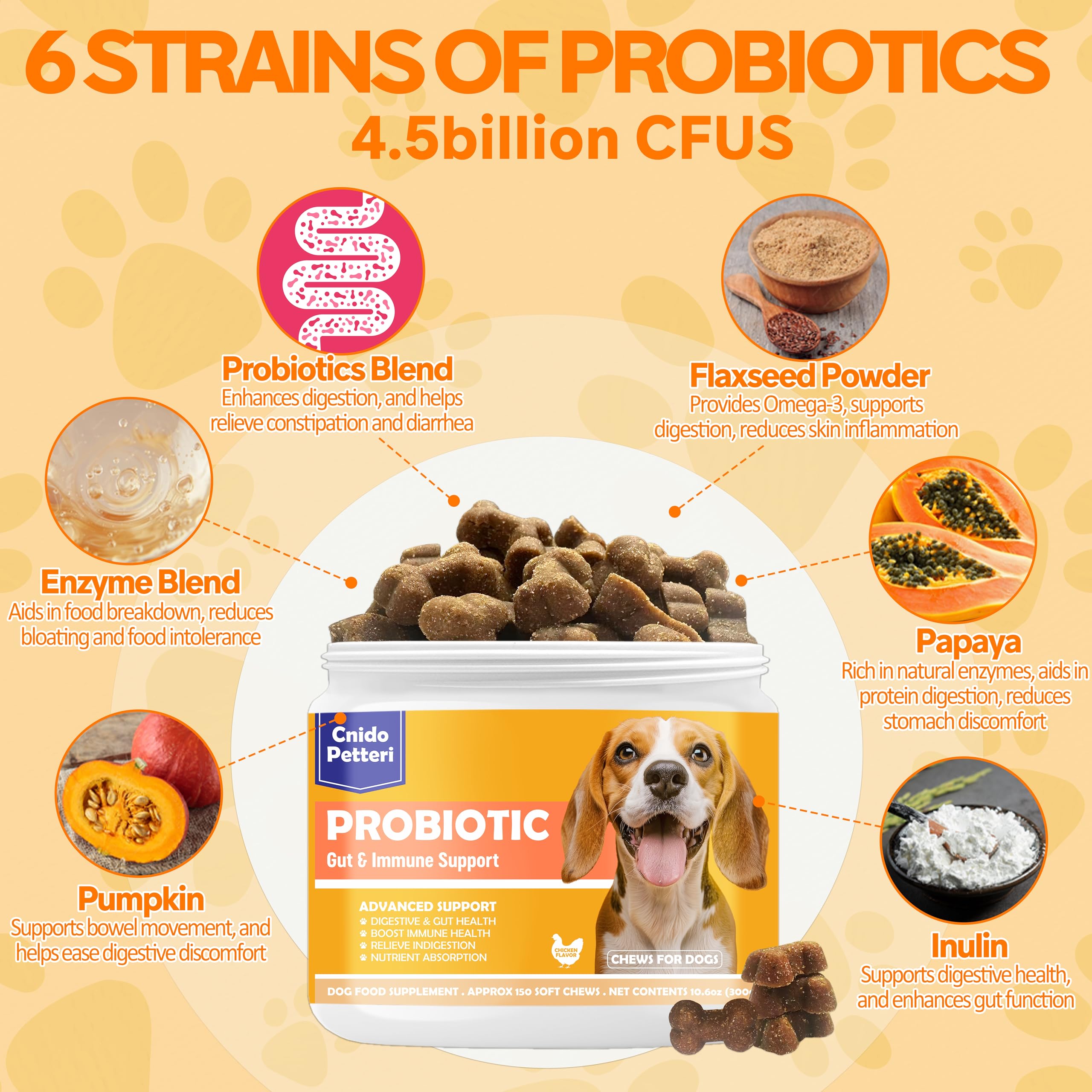 Cnido Petteri probióticos para perro – enzimas que facilitan la digestión y absorción