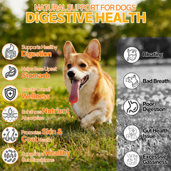 Cnido Petteri probióticos para perro – prebióticos para microbiota equilibrada