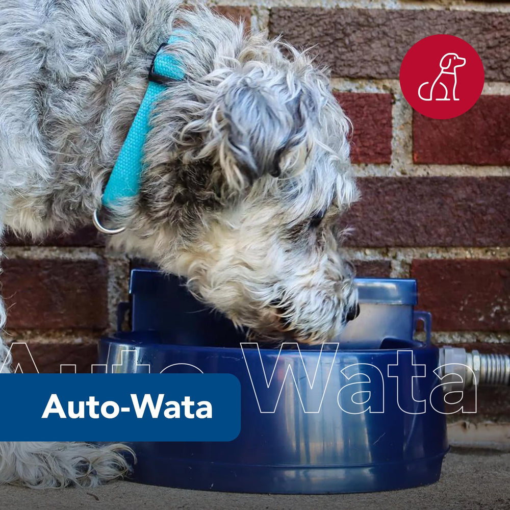 Coastal Auto-Wata: sistema autorregulante que asegura agua cuando se necesita.