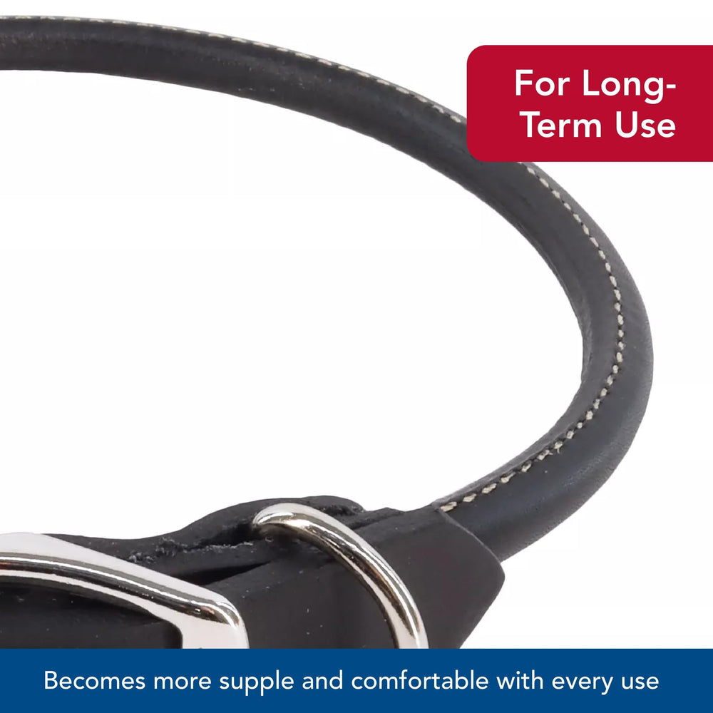 Coastal Circle T: ideal para paseos diarios con perros de pelo largo.