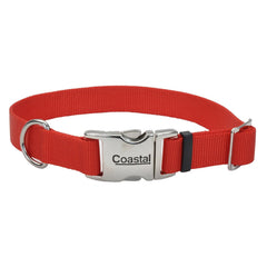 Collar Coastal ajustable con hebilla metálica para paseos seguros.