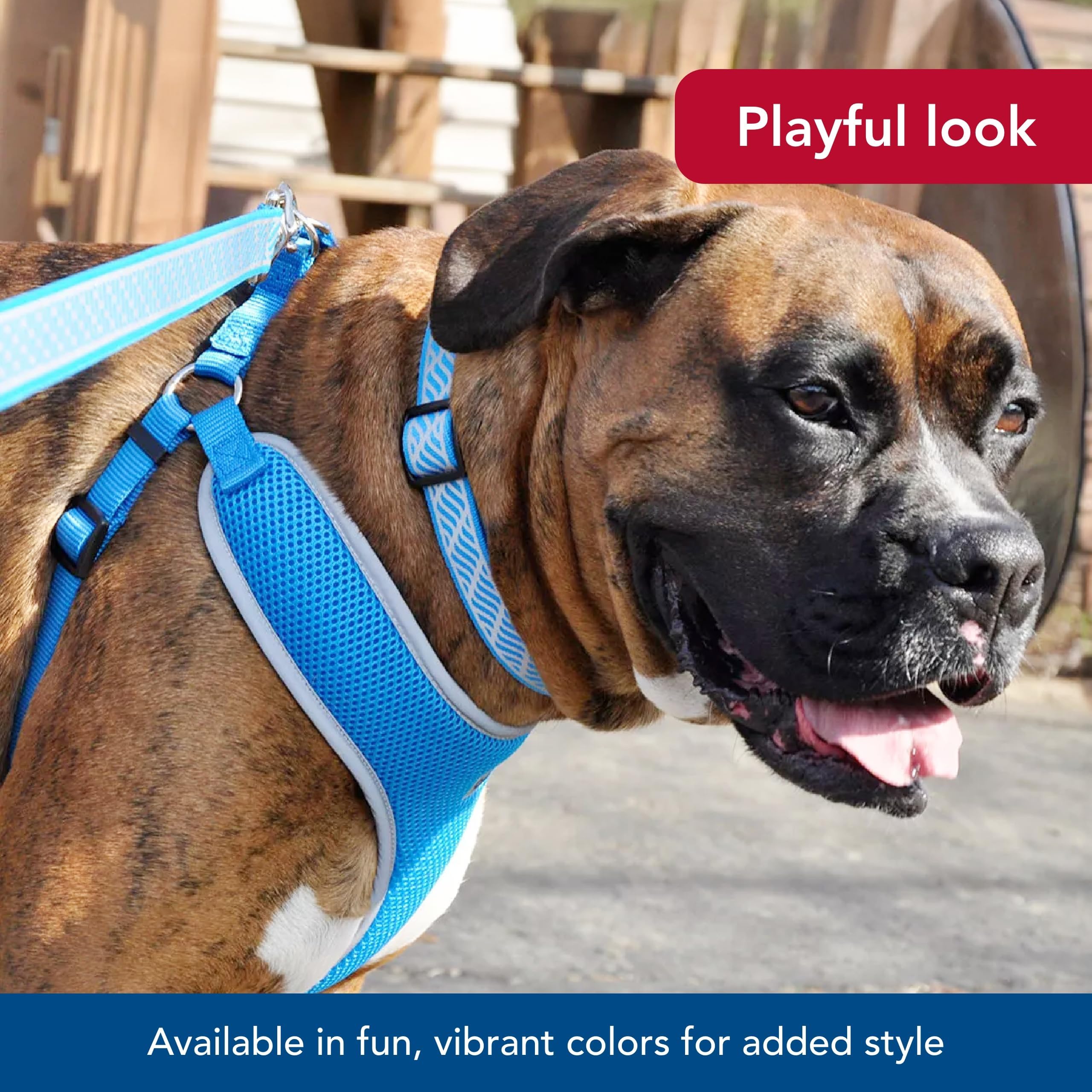 Coastal Pet Ajuste Tallas Compatibles para perros de diferentes tamaños.