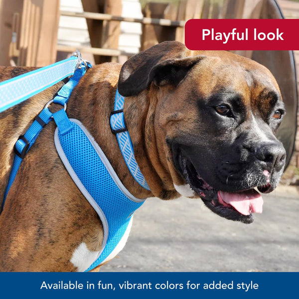 Coastal Pet Ajuste Tallas Compatibles para perros de diferentes tamaños.