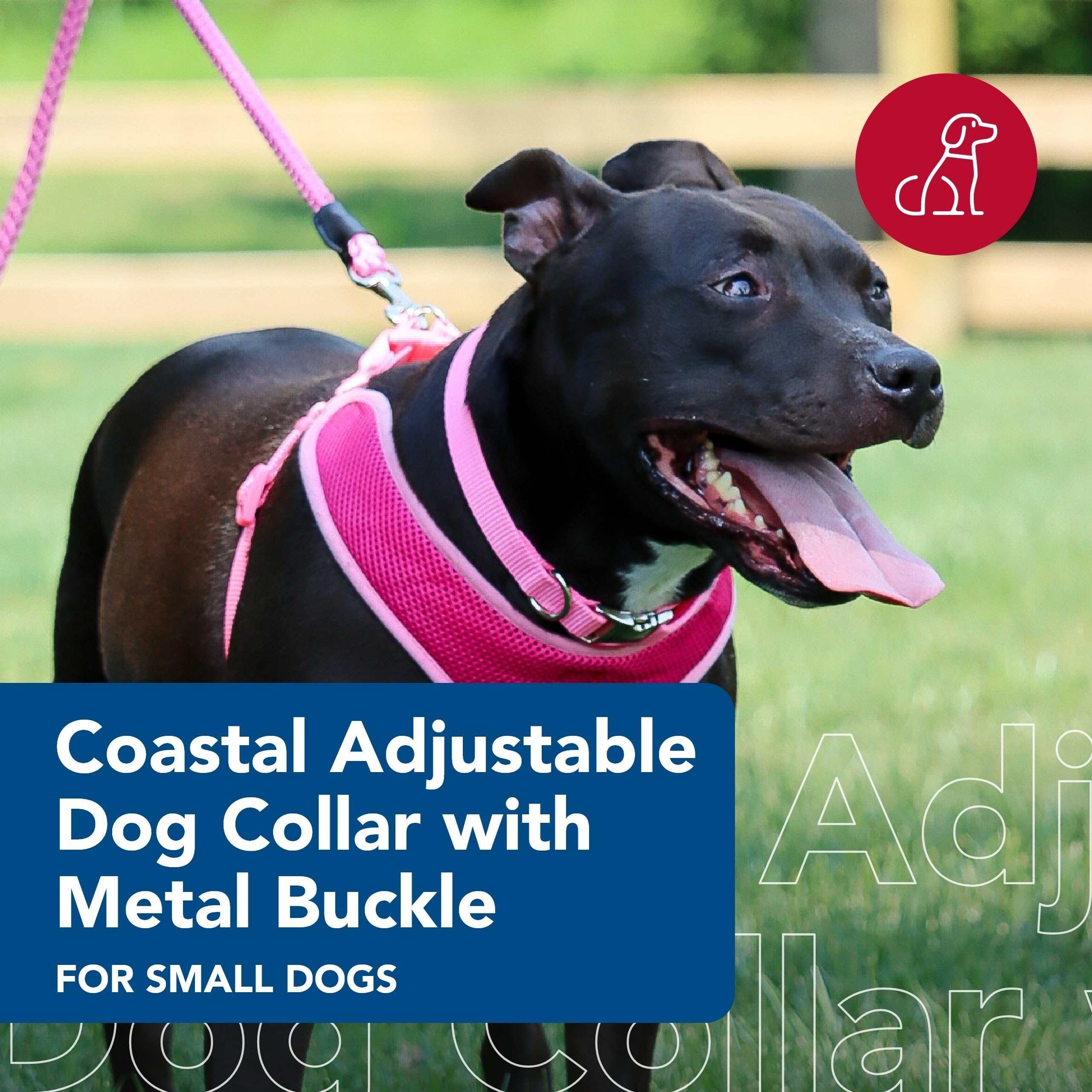 Collar Coastal Pet con ajuste fácil en rosa brillante para comodidad diaria.