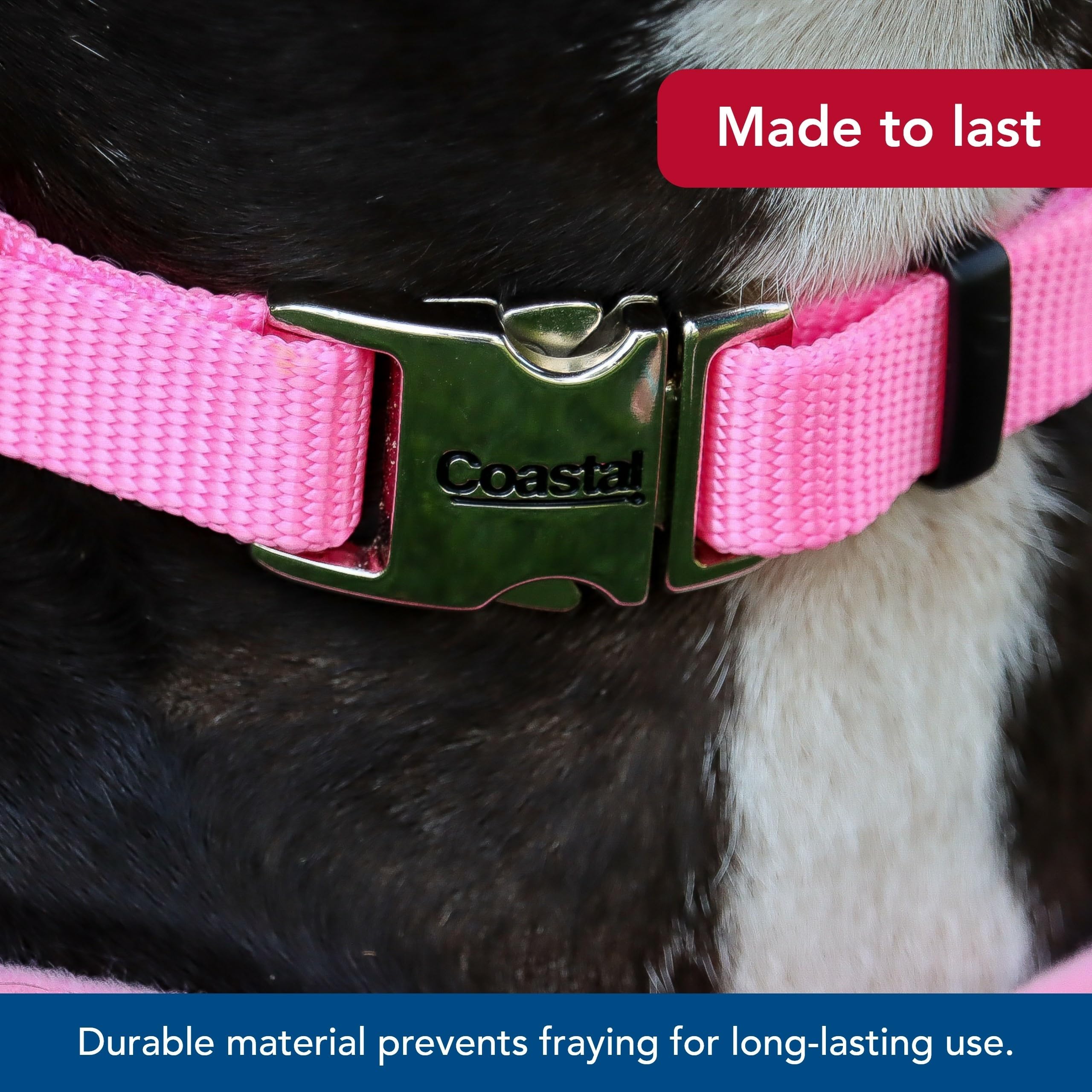 Detalles de hebilla metálica del collar Coastal Pet en rosa.