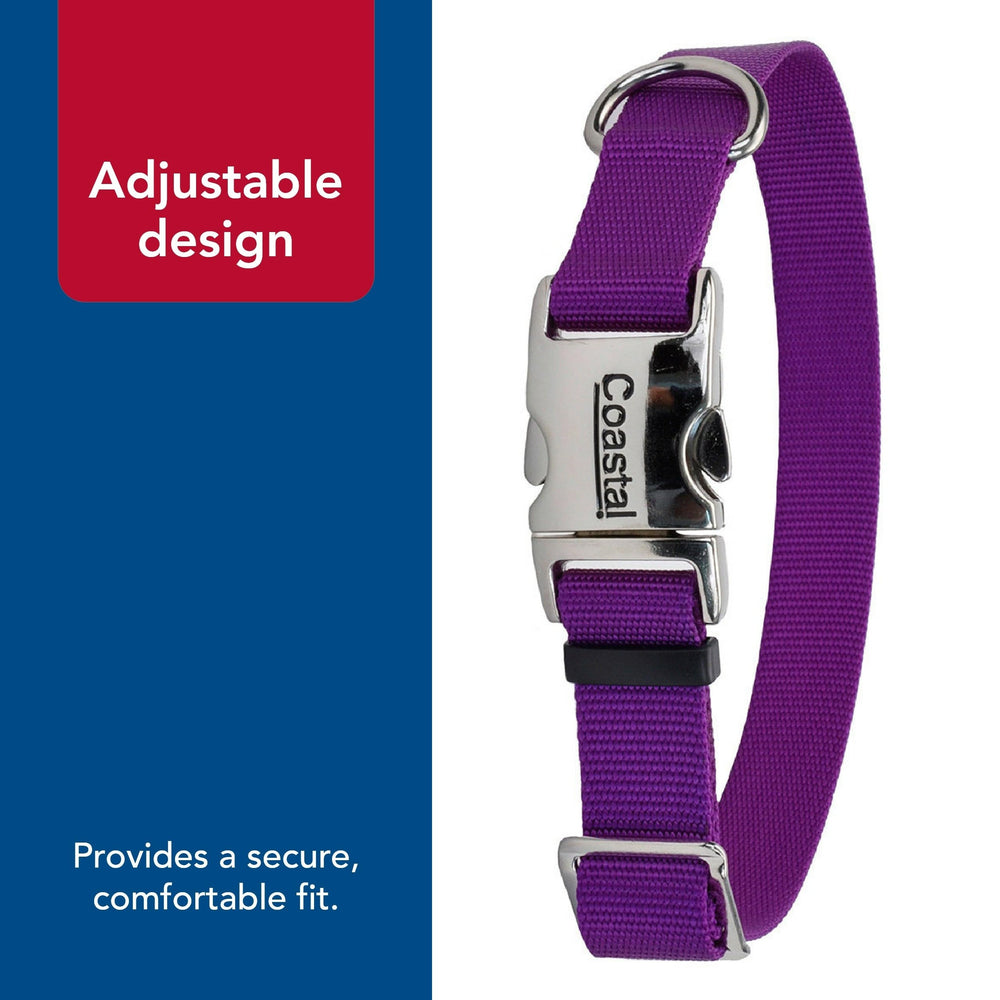 Collar Coastal Pet morado, diseño colorido para combinar con arnés.