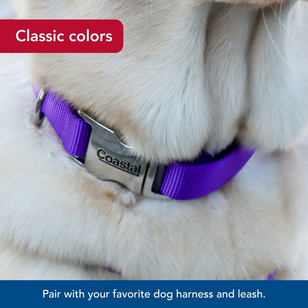 Collar Coastal Pet ligero y duradero, ideal para paseos diarios.