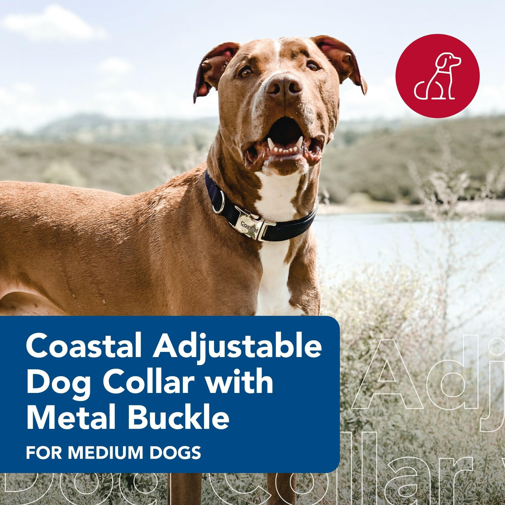 Collar Coastal para perros con ajuste fácil para comodidad diaria.