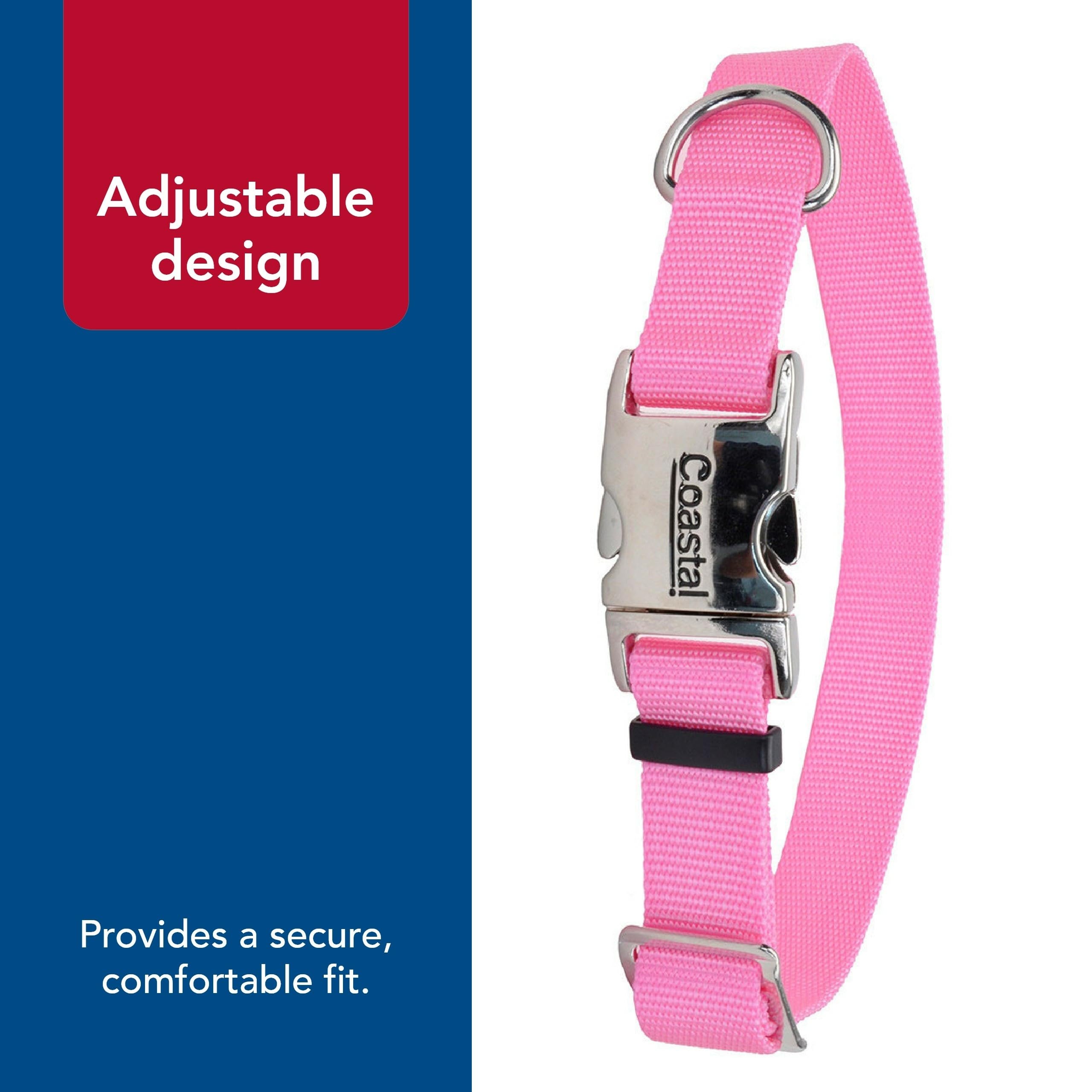 Uso de amarre exterior con collar Coastal Pet en rosa.