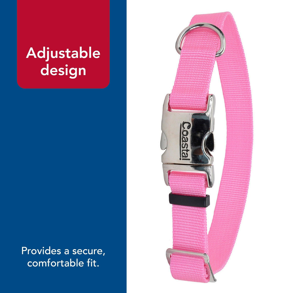 Uso de amarre exterior con collar Coastal Pet en rosa.