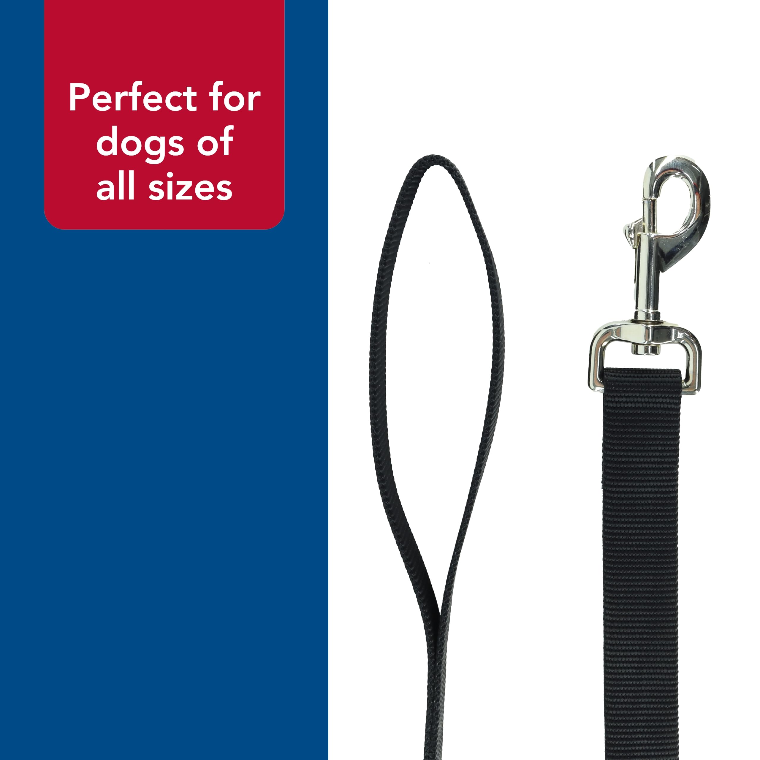 Coastal Pet correa resistente para tirones y juegos energéticos.
