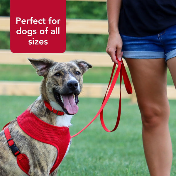 Correa Coastal Pet resistente a tirones para perros activos.