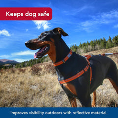 Coastal Pet K9 Explorer: almohadilla de pecho suave para mayor confort.
